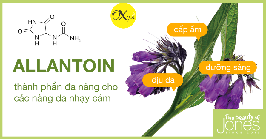 Allantoin là gì, công dụng của allantion trong việc dưỡng ẩm da