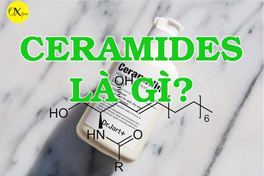 Công dụng của Ceramide cho làn da khô