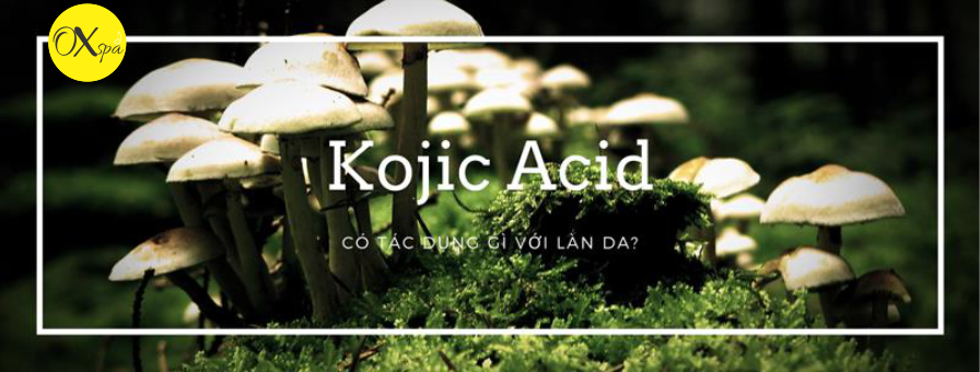 Kojic acid là gì? Công dụng và lưu ý khi sử dụng.