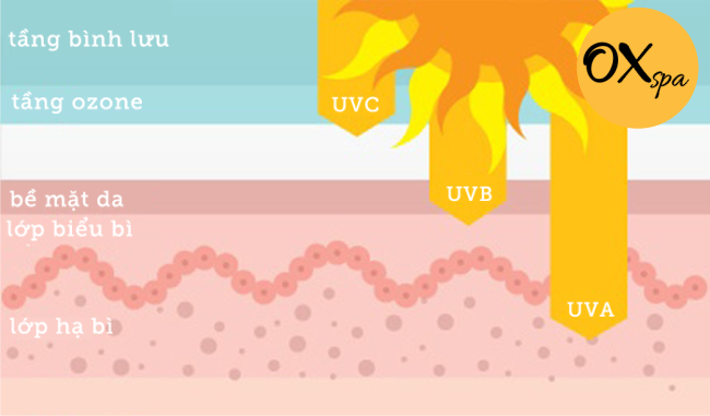 Tia UV có mấy loại? Loại nào ảnh hưởng xấu tới da?